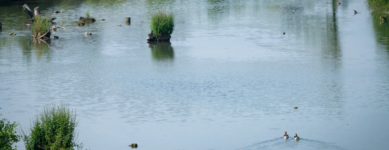 240809_A02_Krems-au_02