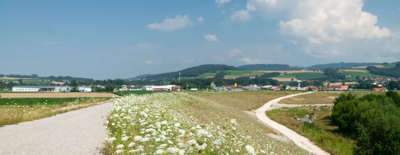 240809_A02_Krems-au_03